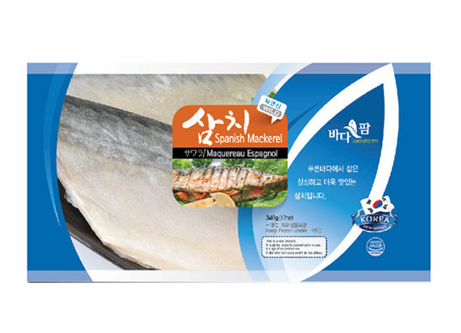 Spanish Mackerel